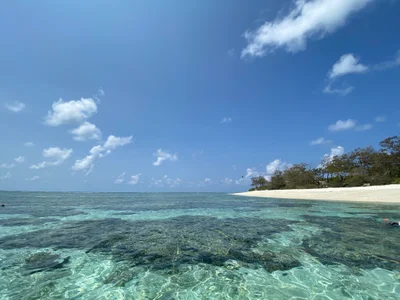 Lady Elliot Island - Photo 5