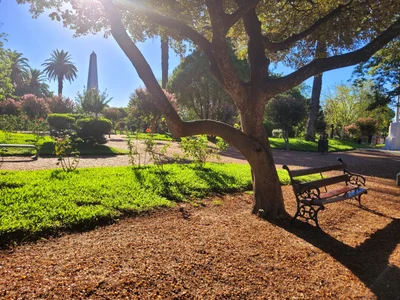 San Jose - Photo 5