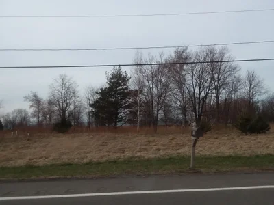 Town of Ripley - Photo 5