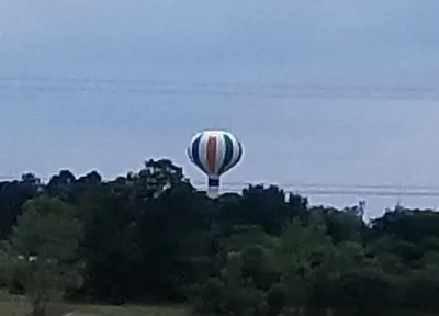 Walnut Ridge - Photo 5