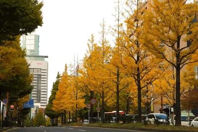 Sendai - Photo 2