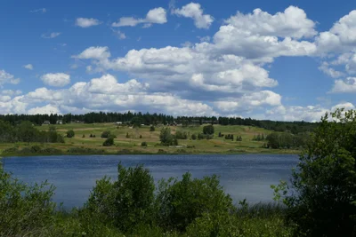 Area G (Lac La Hache/108 Mile Ranch) - Photo 2