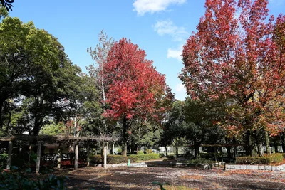 Kudamatsu - Photo 4