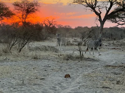 Makgadikgadi Pans National Park - Photo 3