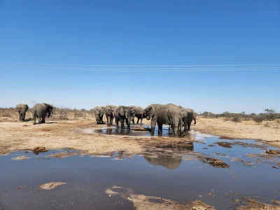 Makgadikgadi Pans National Park - Photo 5