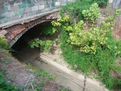 Yazoo City - Photo 5