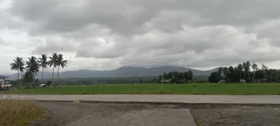 Kapatagan - Photo 5