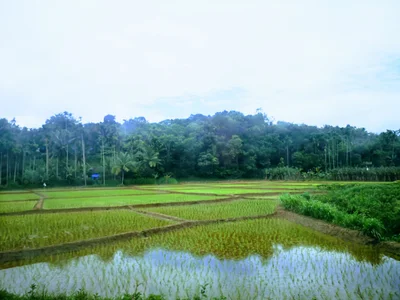 Krishnagiri - Photo 2