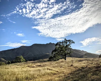 Agoura Hills - Photo 2