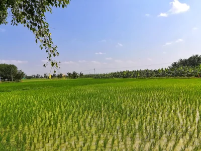 Koonthakulam - Photo 2