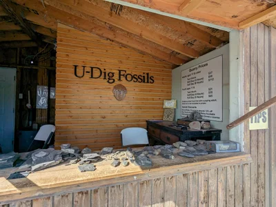 U-Dig Fossils - Photo 3