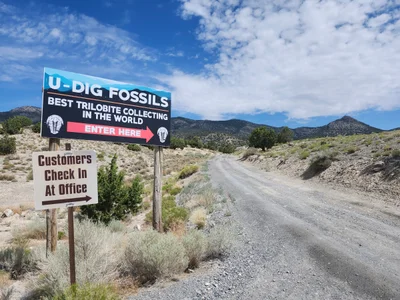 U-Dig Fossils - Photo 4