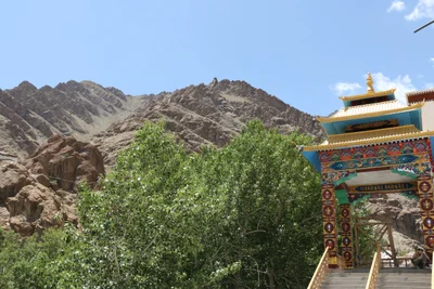 Hemis - Photo 3