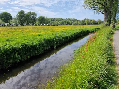 Schoorl - Photo 4