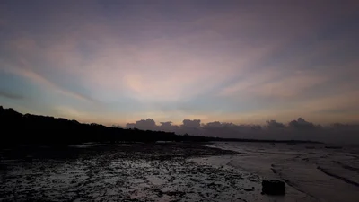 Shimoni - Photo 4