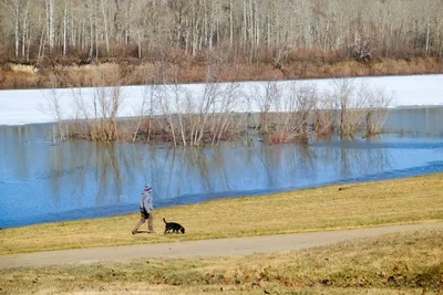 Fort McMurray - Photo 2