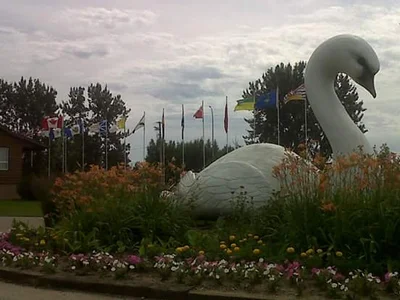 Swan River - Photo 3