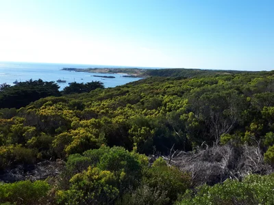 King Island - Photo 2