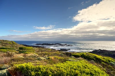 King Island - Photo 3
