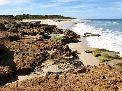 King Island - Photo 4