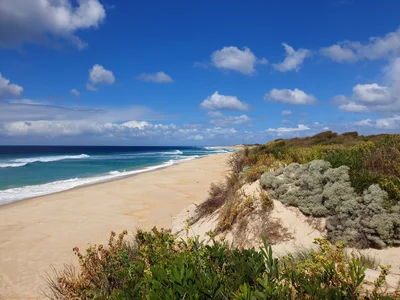 King Island - Photo 5