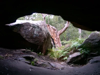 Kincumber - Photo 4