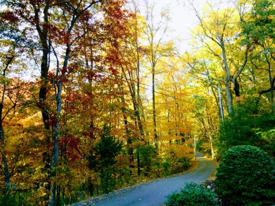 Bolton - Photo 2