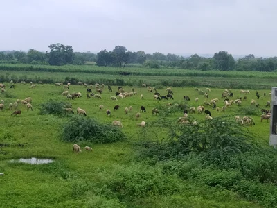 Toranmal - Photo 2