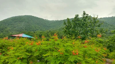 Toranmal - Photo 4
