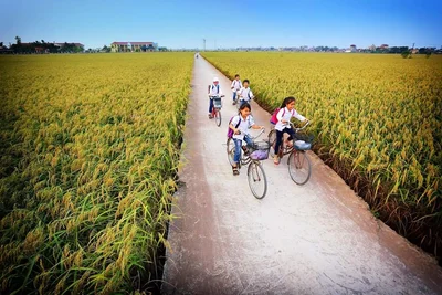 Duy Nhat - Photo 2
