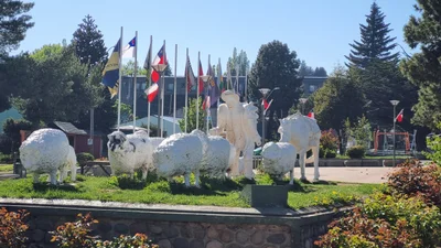 Coyhaique - Photo 4