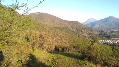 Hijuelas - Photo 5