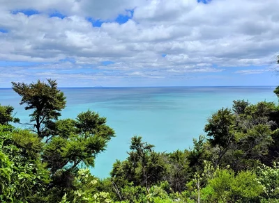 Waihau Bay - Photo 5