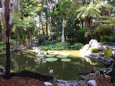 Coffs Harbour - Photo 3