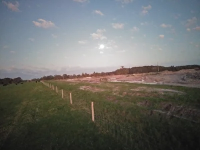 Karridale - Photo 2
