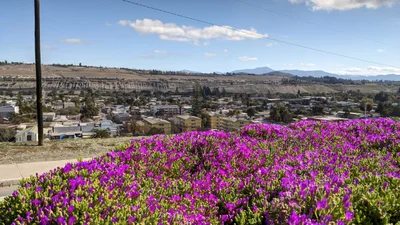 Vallenar - Photo 4