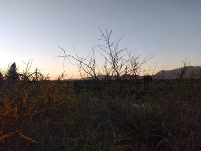 Pichidegua - Photo 2