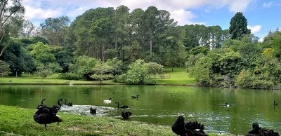 Sapucaia do Sul - Photo 3
