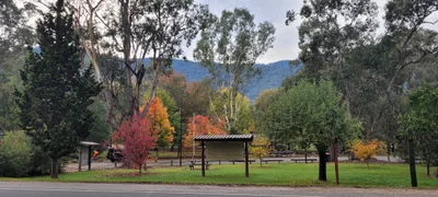 Harrietville - Photo 5