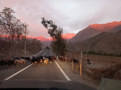 Río Hurtado - Photo 3