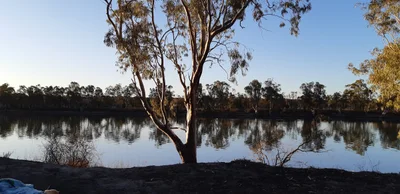 Barmera - Photo 5