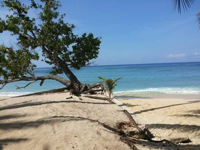 Glan - Photo 5