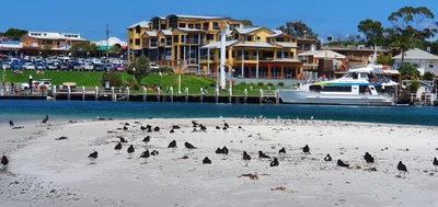 Huskisson - Photo 5