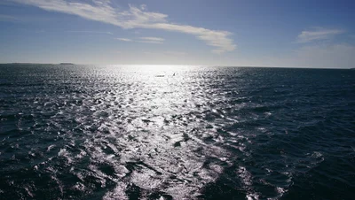 Dongara - Photo 3