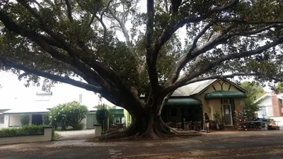 Dongara - Photo 4
