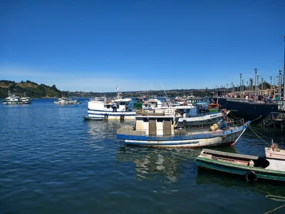 Dalcahue - Photo 3