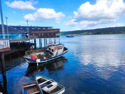 Dalcahue - Photo 5