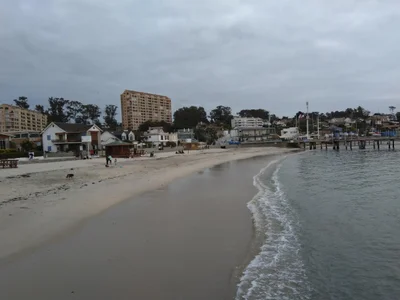 Algarrobo - Photo 2