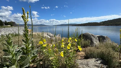Jindabyne - Photo 4