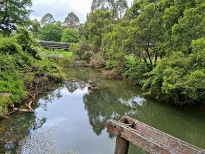 Dorrigo - Photo 2
